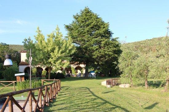 Agriturismo San Valentino Amelia Ngoại thất bức ảnh